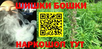 тгк Пугачёв