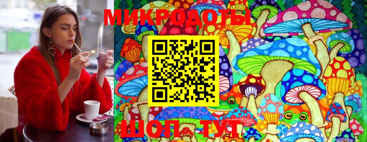 Псилоцибиновые грибы GOLDEN TEACHER Рузаевка